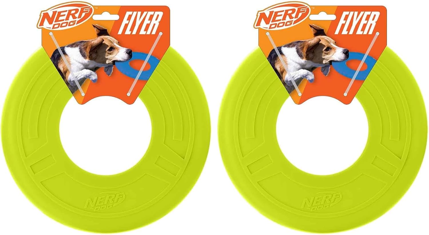 Active dog playing with blue Nerf Dog flying disc