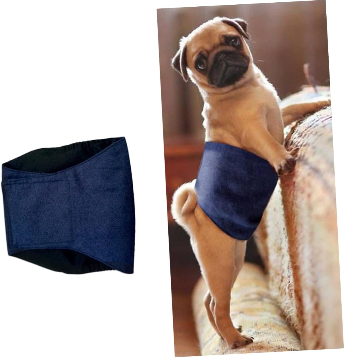 Washable denim courtesy belt for male dogs everyday wear