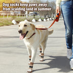 Detailed view of elastic fabric on Beautyzoo pet paw socks