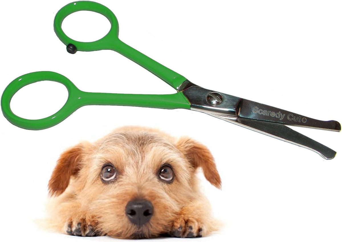 Tiny Trim 4.5" Ball-Tipped Scissor for Dog, Cat and all Pet Grooming - Ear, Nose, Face & Paw - Scaredy Cut's small Safety Scissor Blue - Image 10