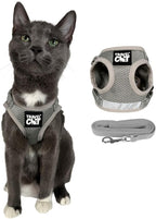Travel Cat Harness and Leash Set - Adjustable Fit Mesh Cat Harness and Reflective Strap - Comfort Walking Vest for Kitten for Outdoor Walking, Hiking (Small, Orange) - Image 12