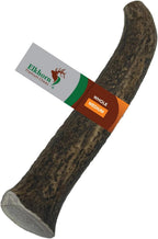 Side profile of seven to ten inch long whole elk antler chew toy.