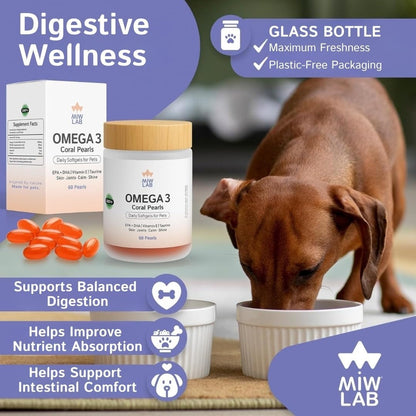 Authentic imported pet health vitamins with vitamin E for skin and coat shine