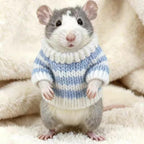 Imported genuine Copfeu small animal holiday costumes close up view