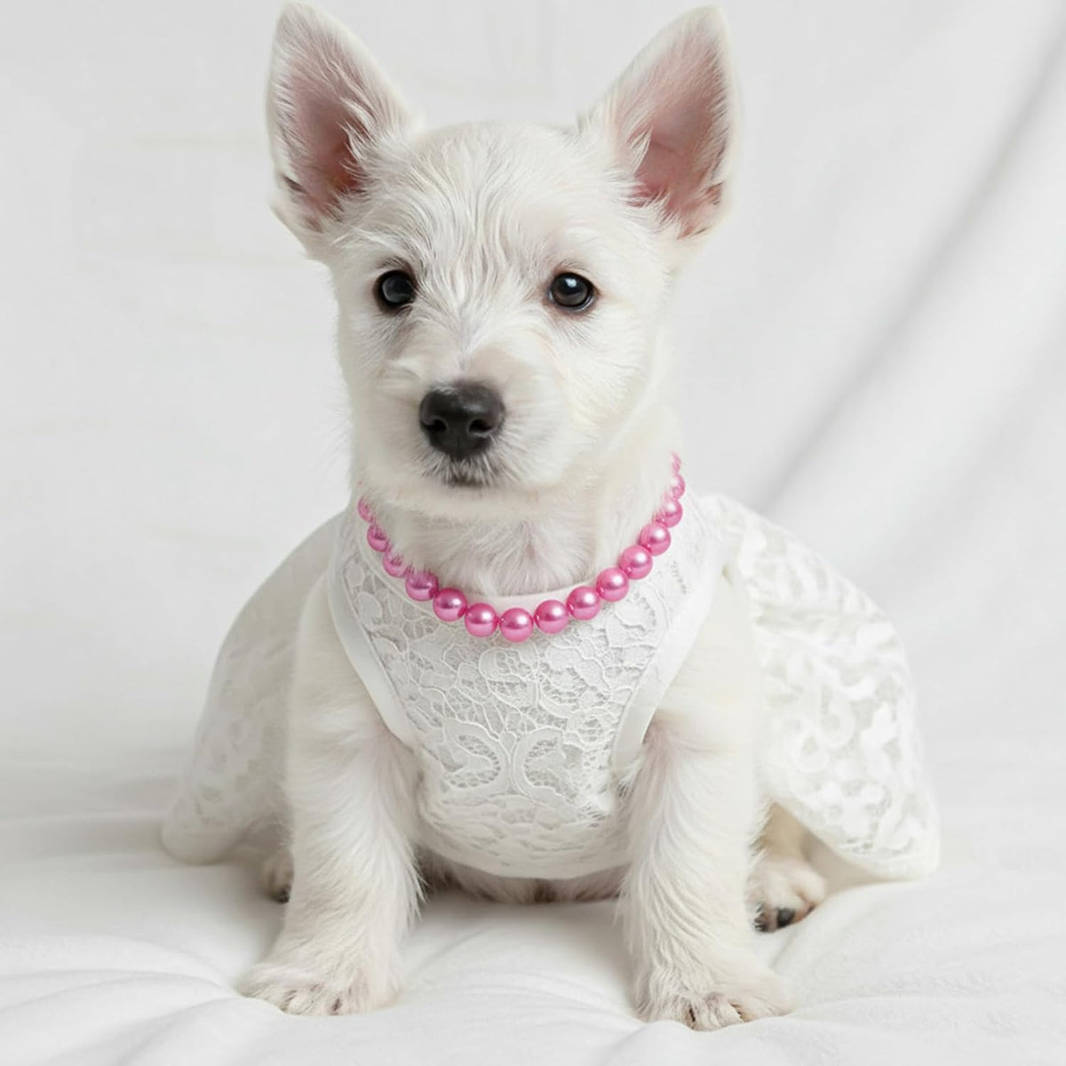 Pink imitation pearl and beaded decorative collar for large female dogs
