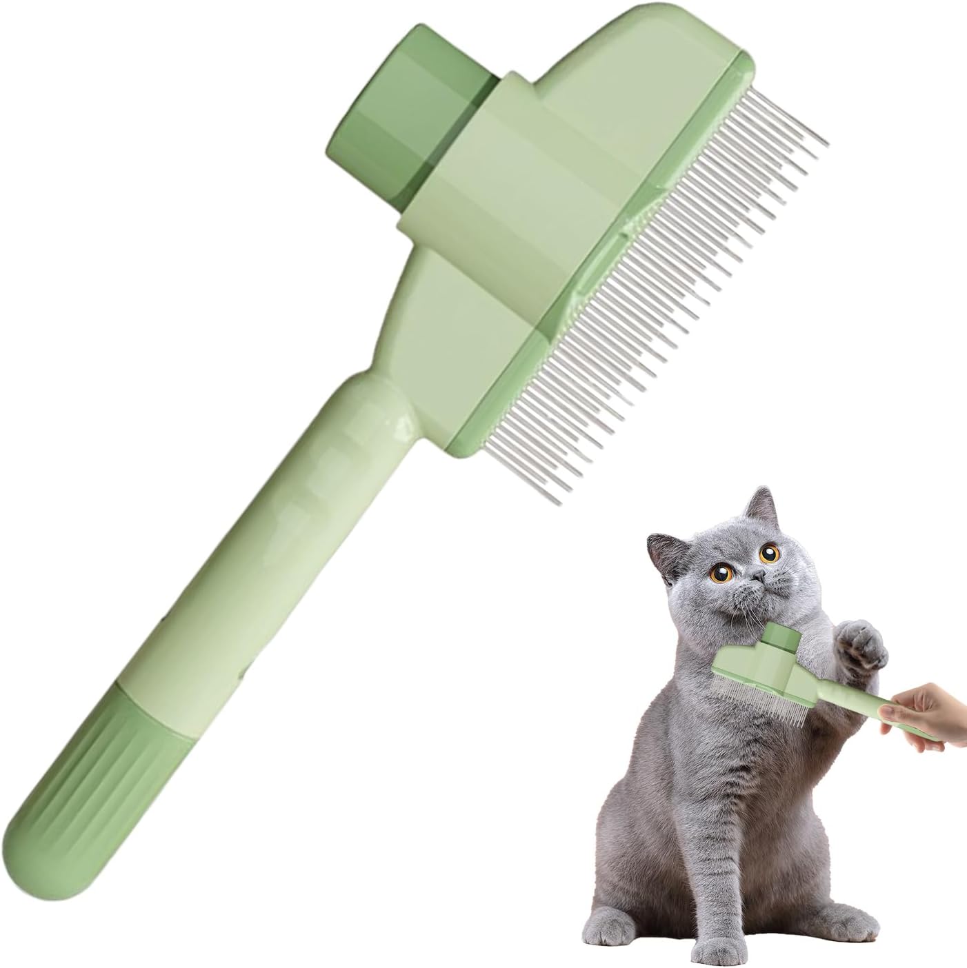 Rv International pet comb packaging and product display