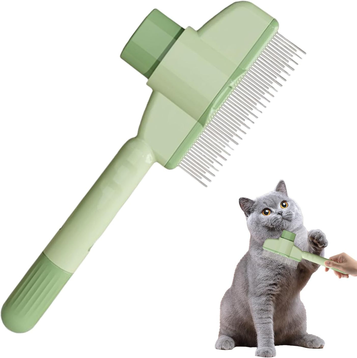 Rv International pet comb packaging and product display