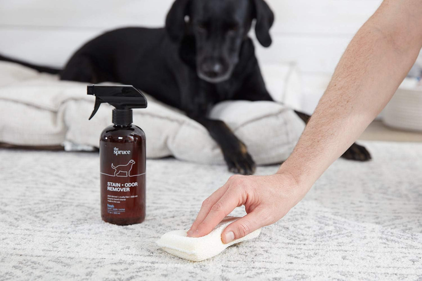The Spruce pet stain cleaner application steps on a dirty tile floor