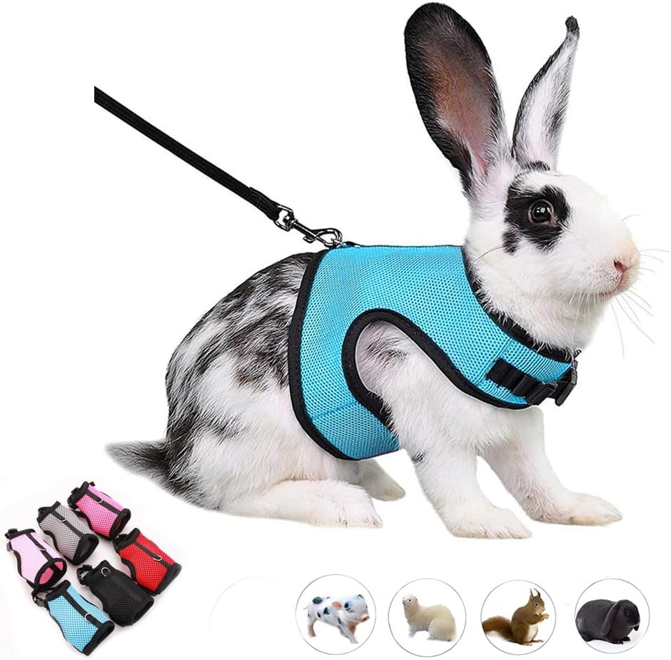 WeimoMonkey escape proof rabbit harness and leash set in light blue front view