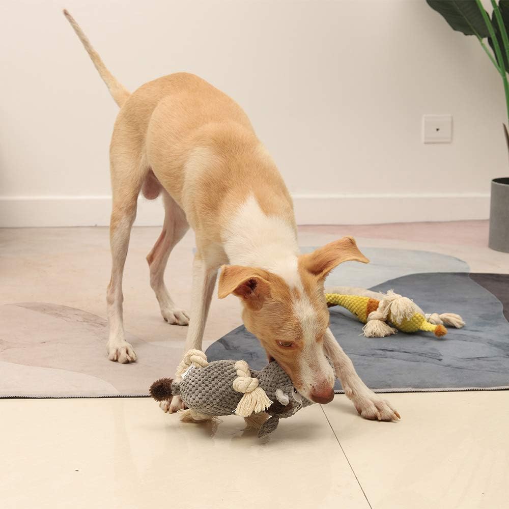 Interactive pet plush toy with crinkle paper and internal squeaker