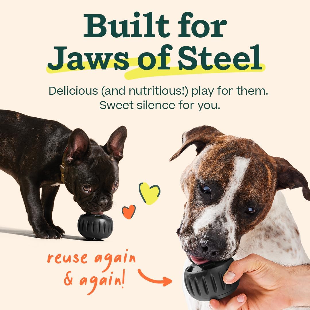 Dog playing with WOOF Power Chewer Pupsicle toy