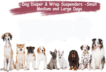Durable metal slider buckles on dog apparel harness