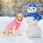 BINGPET pink dog pullover sweater details of the high density acrylic yarn texture