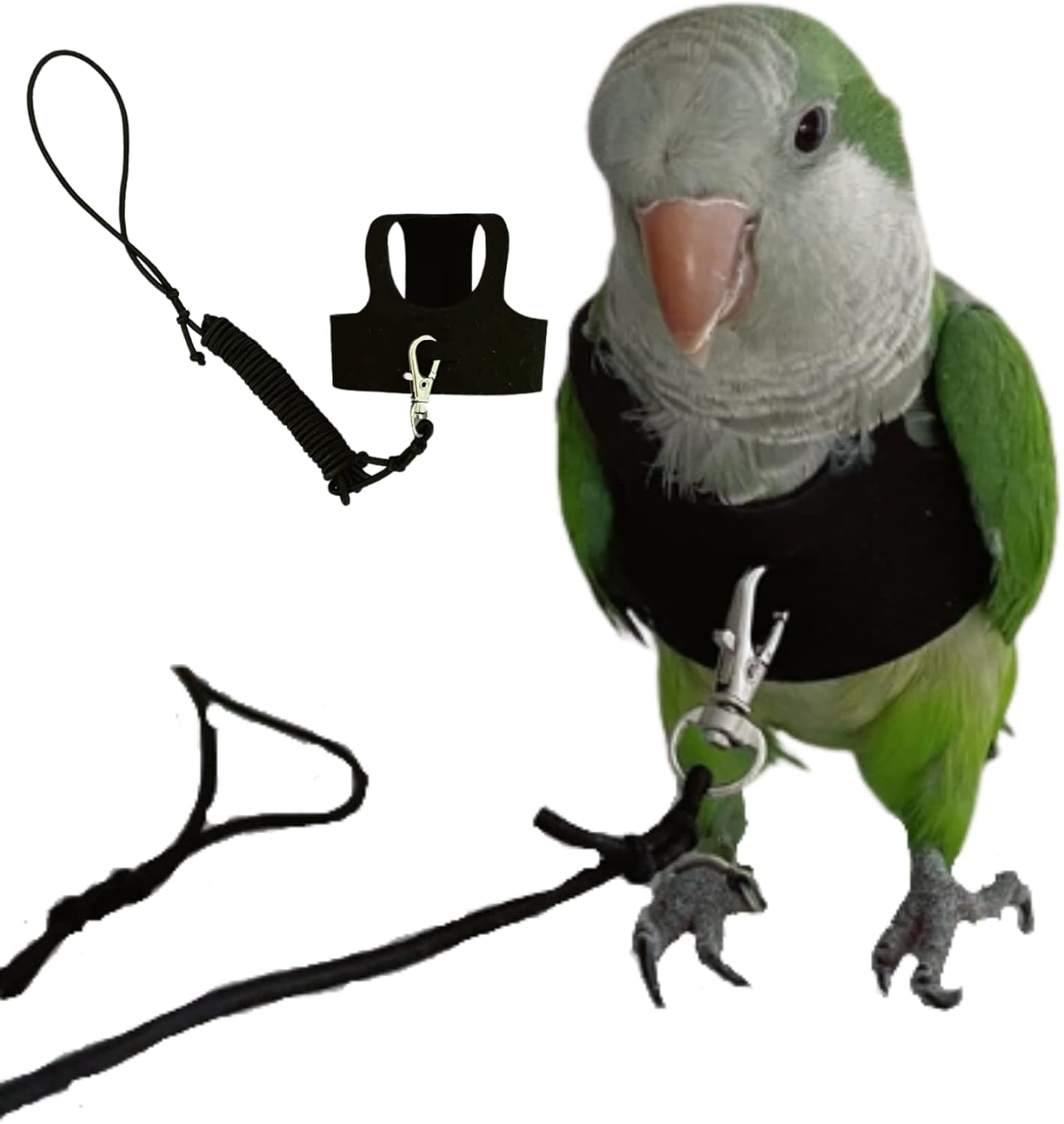 Barn Eleven bird flight harness vest front view