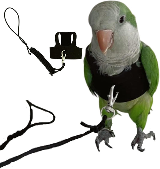 Barn Eleven bird flight harness vest front view