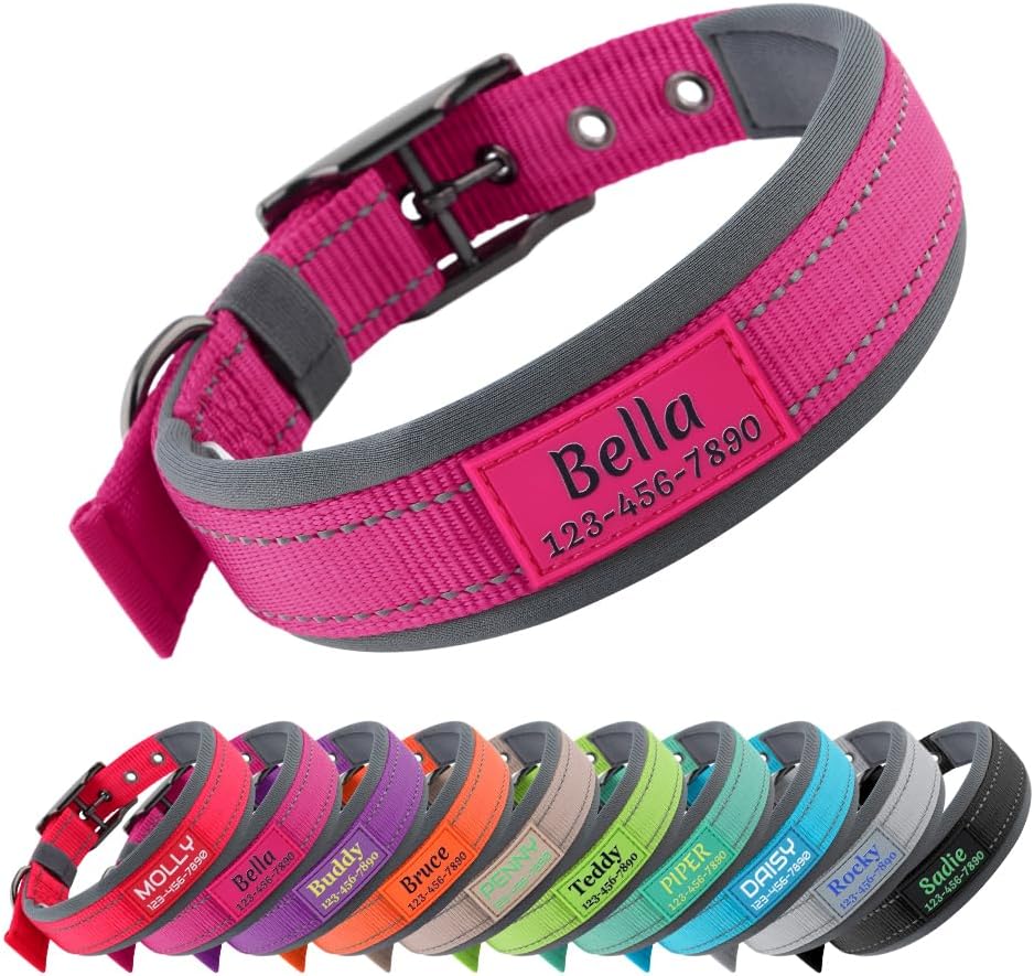 Plutus Pet personalized dog collar front view with metal buckle