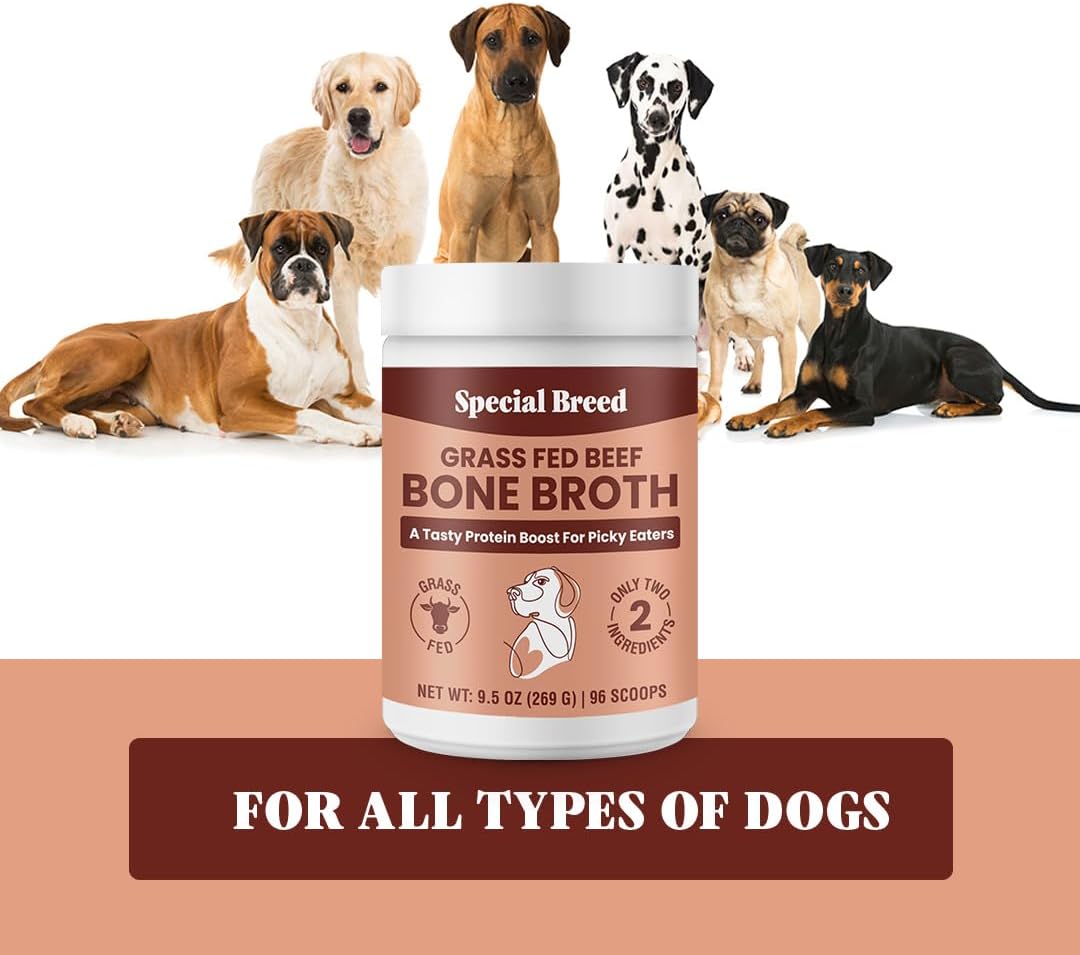 Special Breed grass fed animal bone broth 250g container.
