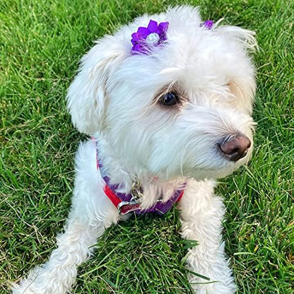 Yaka brand pet hair bows packaged in 40 piece set