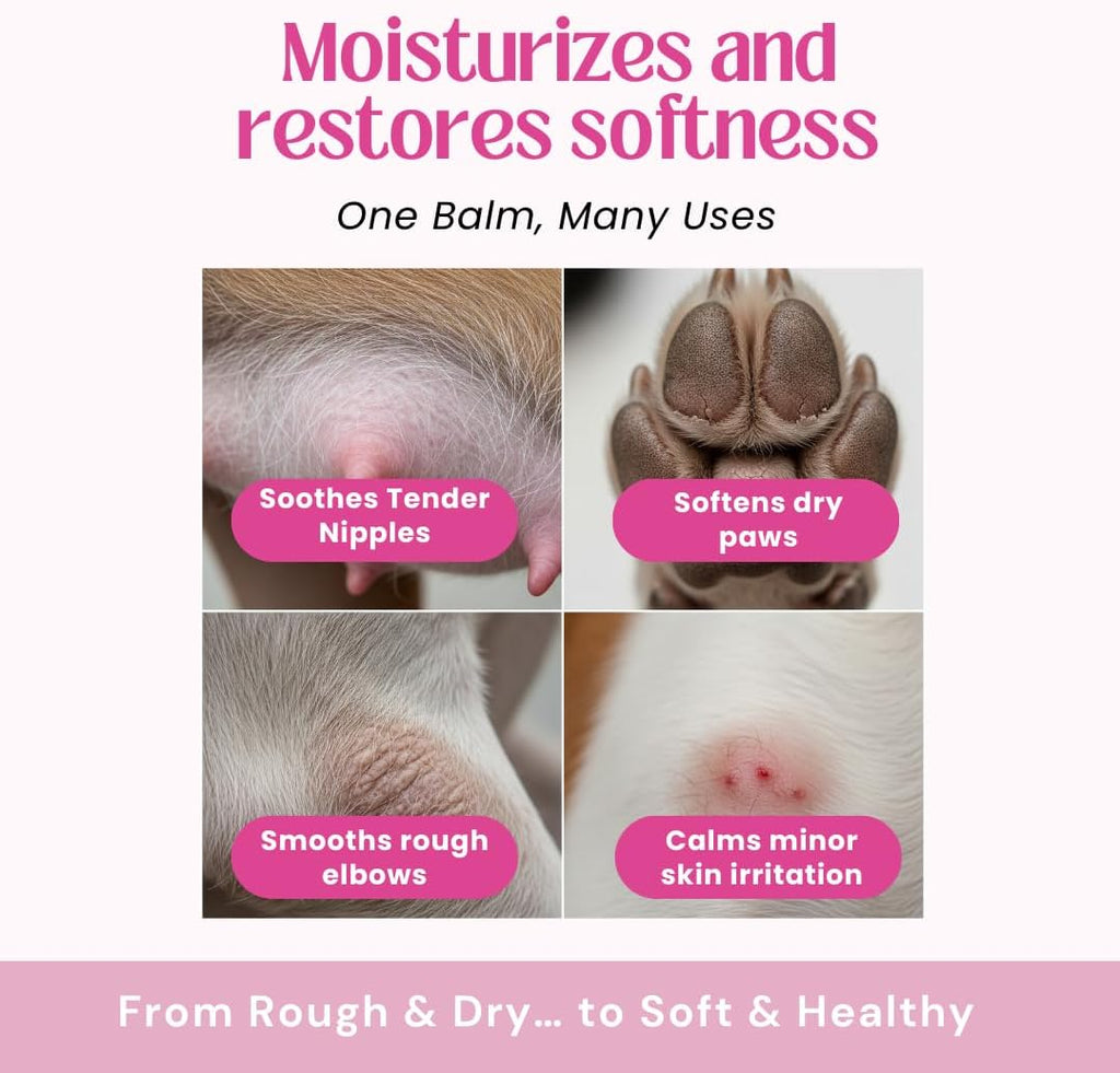 PREGNAPAWS soothing butter used on dry dog paws and rough elbows
