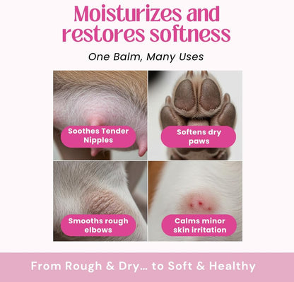 PREGNAPAWS soothing butter used on dry dog paws and rough elbows