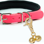 Golden color pet collar tracking charms suitable as a Christmas gift for dogs and cats.
