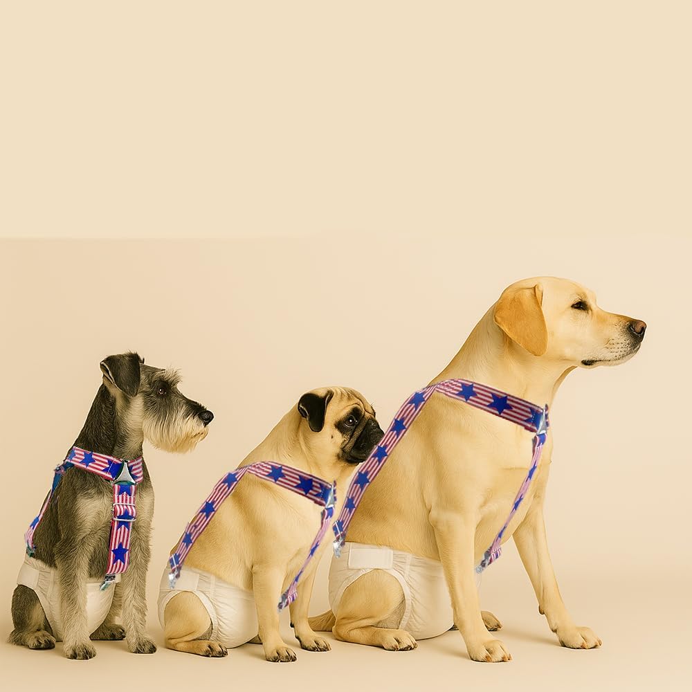 2pcs Non-Slip Dog Diaper Suspenders with Clips | Stretchy Adjustable Suspenders for Female and Male Disposable and Washable Diapers | Fits Small, Medium and Large Size Pets - Image 9