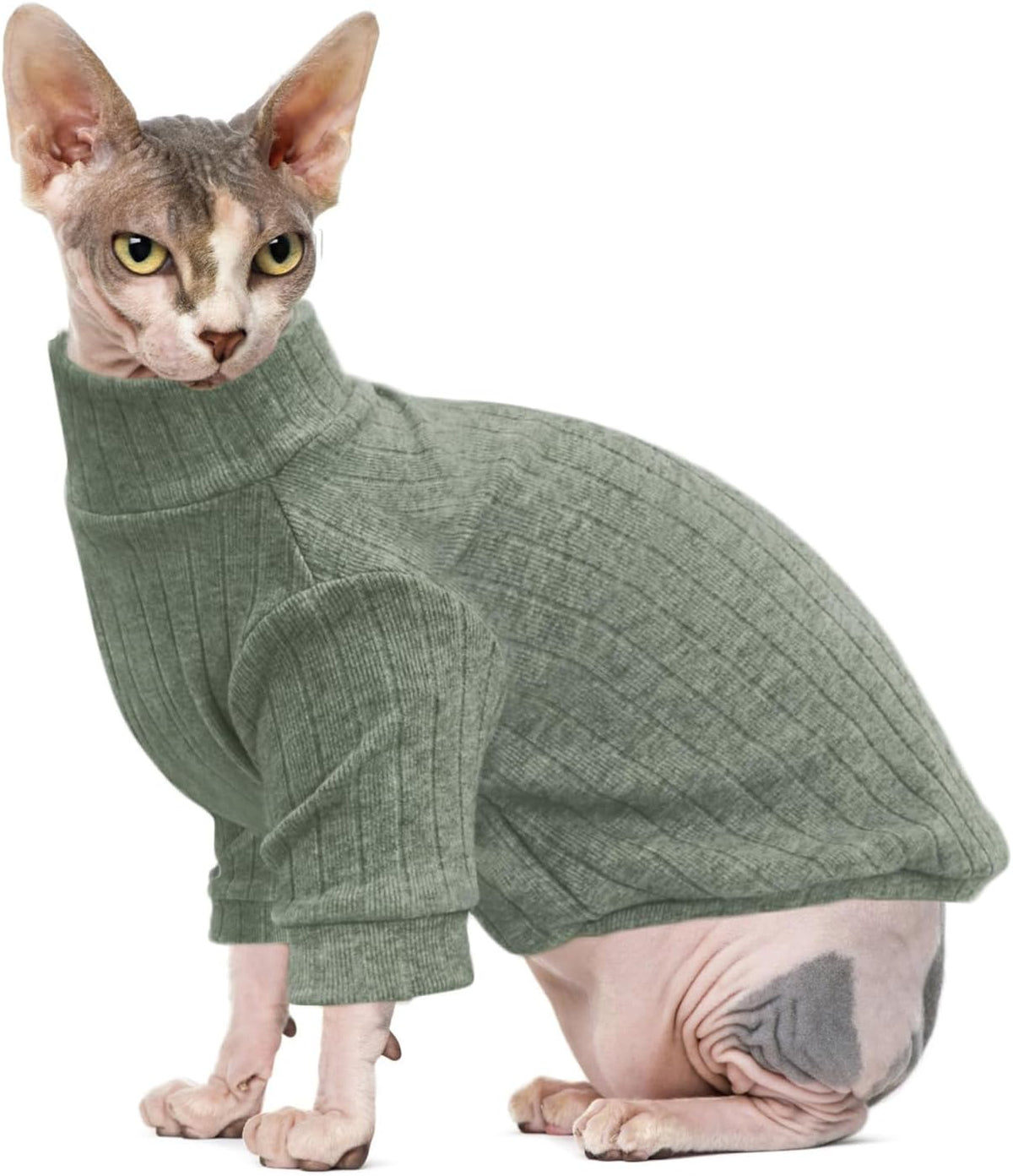 Idepet cat sweater worn by a teacup Chihuahua