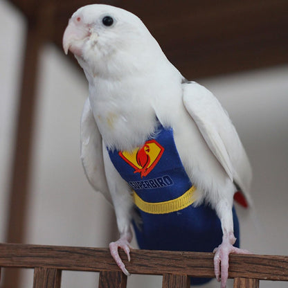CELONROMF fabric flight suit in Superman theme layout showing the red cape details