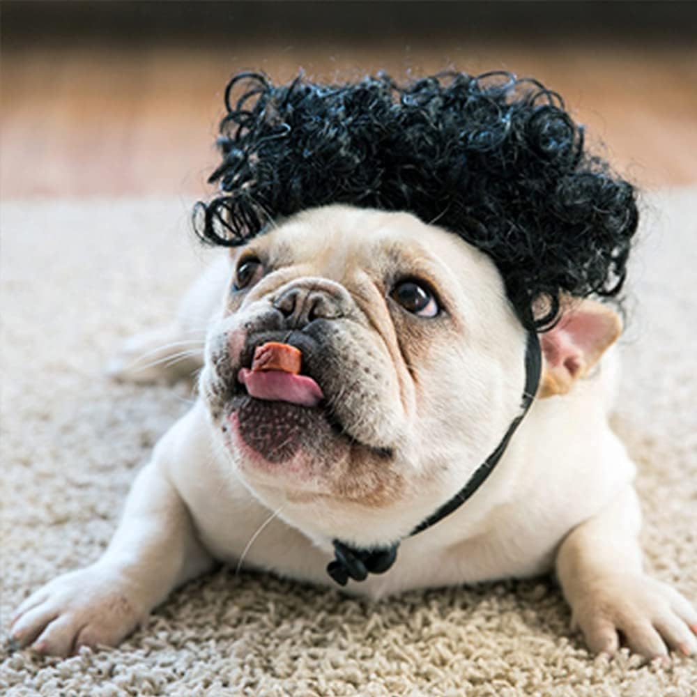 HOWWFALY Dog Costume Cat Apparel Dog Toys Curly Braids Headgear Wigs Styling Cute Funny Pet Hair Accessories Decoration for Halloween, Christmas, Parties(Flax) - Image 13
