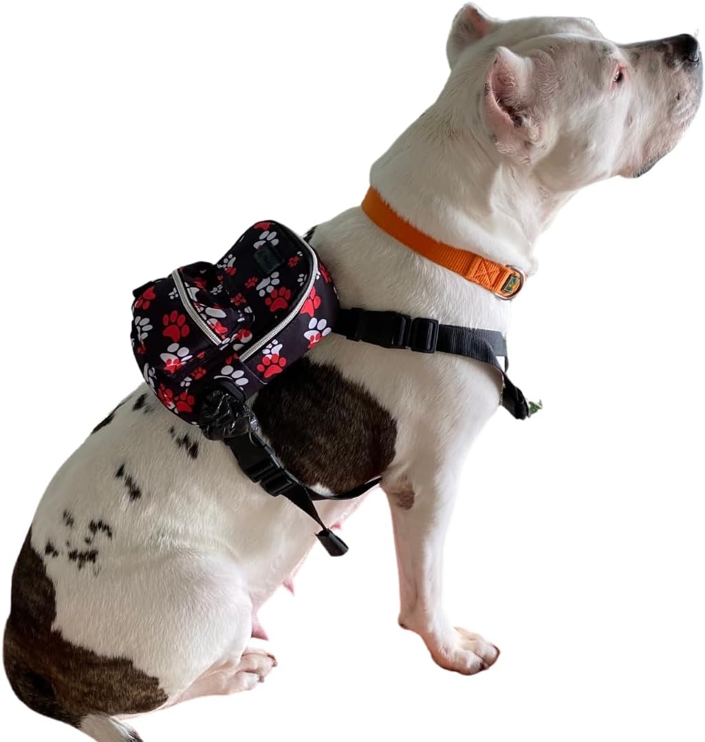 PawLook Dog Backpack to Wear with Chest Harness Self Carrier dogbag with Additional Pocket for Poop Bag Anti Slip Stylish Dog Bag for Your pet Street Smart Serie Pawsup Orange M - Image 13