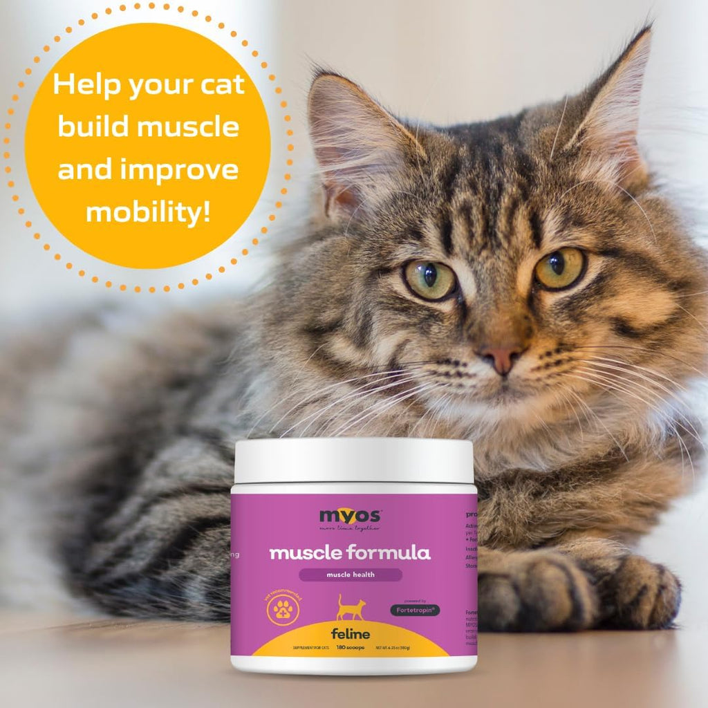 Close up of Myos Feline Muscle Formula Fortetropin branding