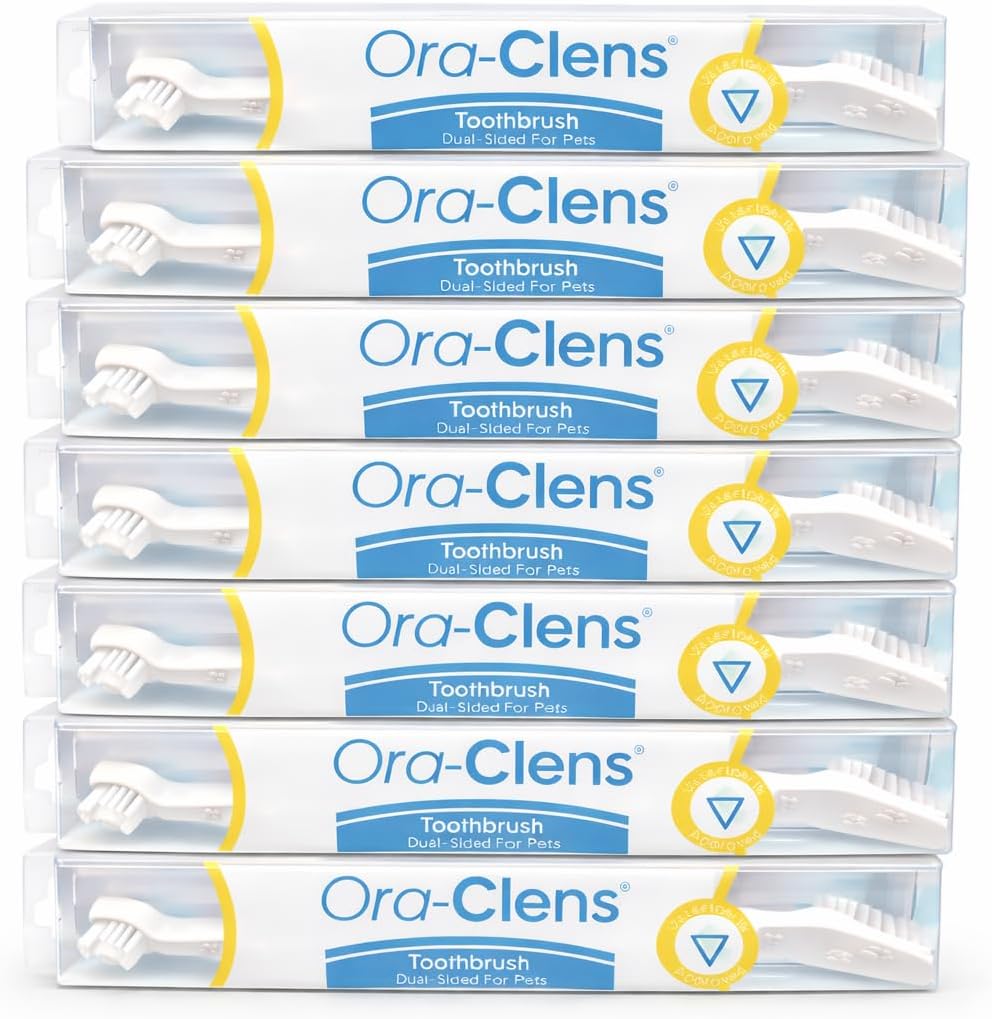 Healthy dog with clean teeth using Ora-Clens