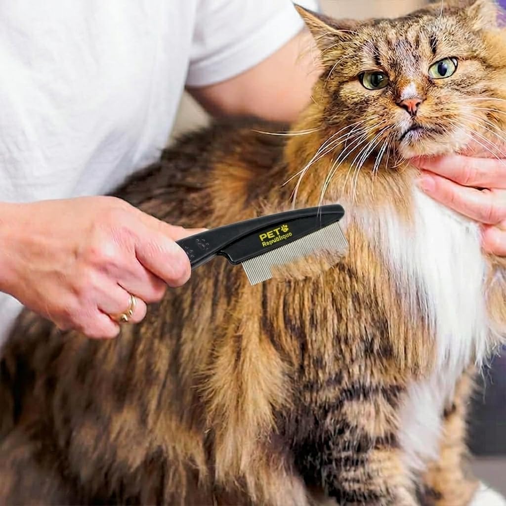 Pet Republique flea comb removing dandruff from cat fur