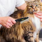 Pet Republique flea comb removing dandruff from cat fur