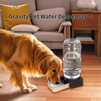 Pakeway non electric pet waterer with transparent one gallon jug showing water level