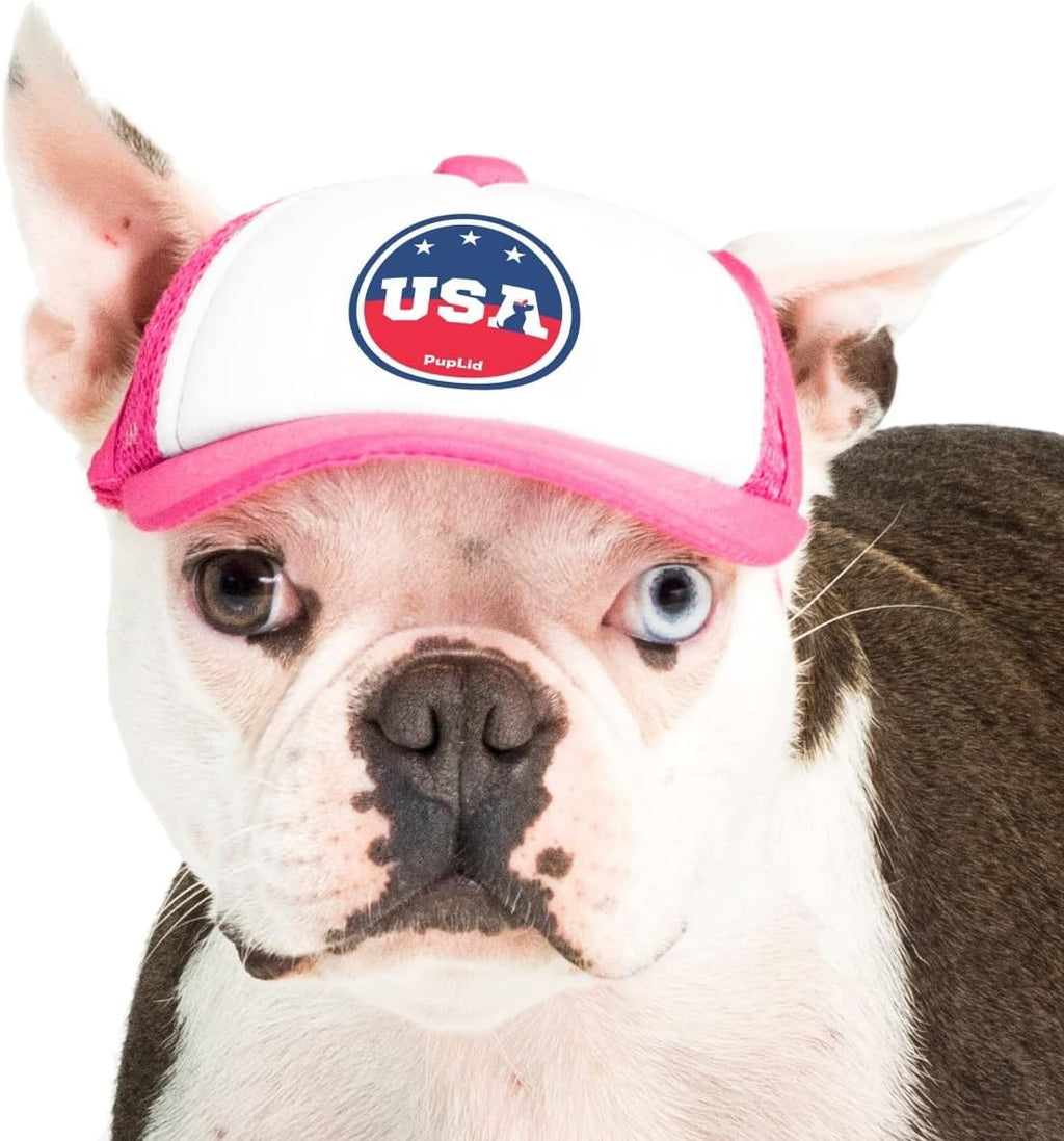 USA Collection, PupLid Trucker Hats for Dogs (Large) Premium Stylish Sun Protection for The Modern Dog - Adjustable for Secure Comfortable Fit on Active Dogs (Blue, Eagle) - Image 9