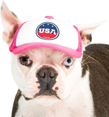 USA Collection, PupLid Trucker Hats for Dogs (Large) Premium Stylish Sun Protection for The Modern Dog - Adjustable for Secure Comfortable Fit on Active Dogs (Blue, Eagle) - Image 9