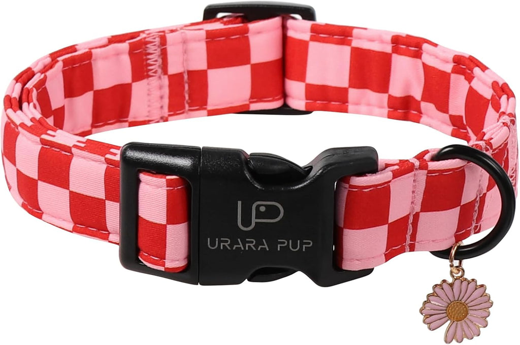 Up Urara Pup branding on high quality dog collar