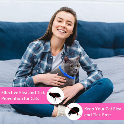 Cat wearing Routade natural flea protection collar