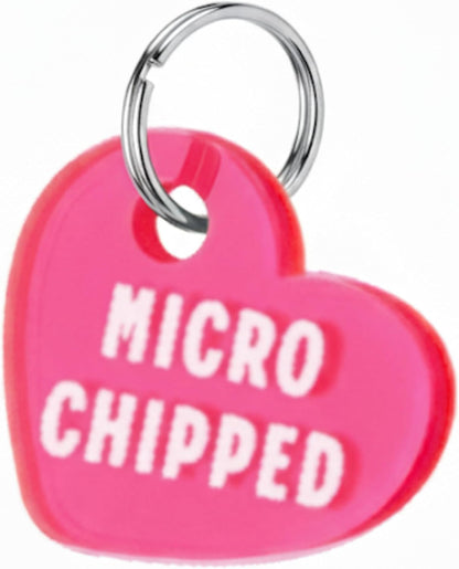 Miniature acrylic heart pet collar charm shown against a small cat collar.