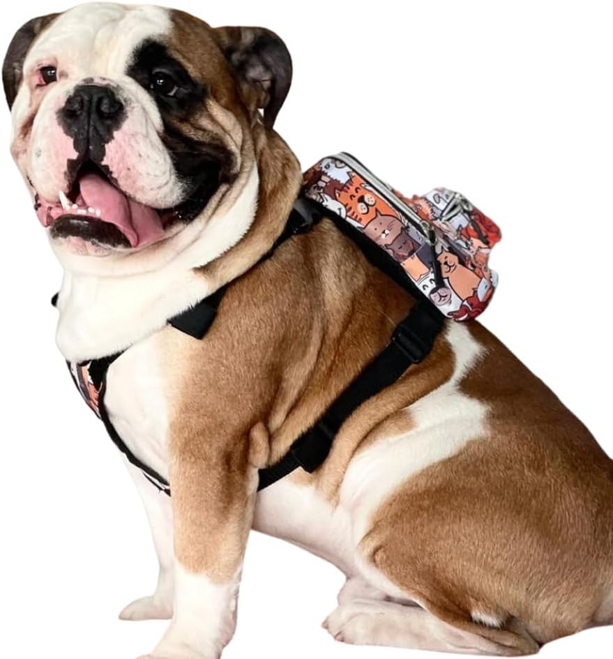 PawLook Dog Backpack to Wear with Chest Harness Self Carrier dogbag with Additional Pocket for Poop Bag Anti Slip Stylish Dog Bag for Your pet Street Smart Serie Pawsup Orange M - Image 12