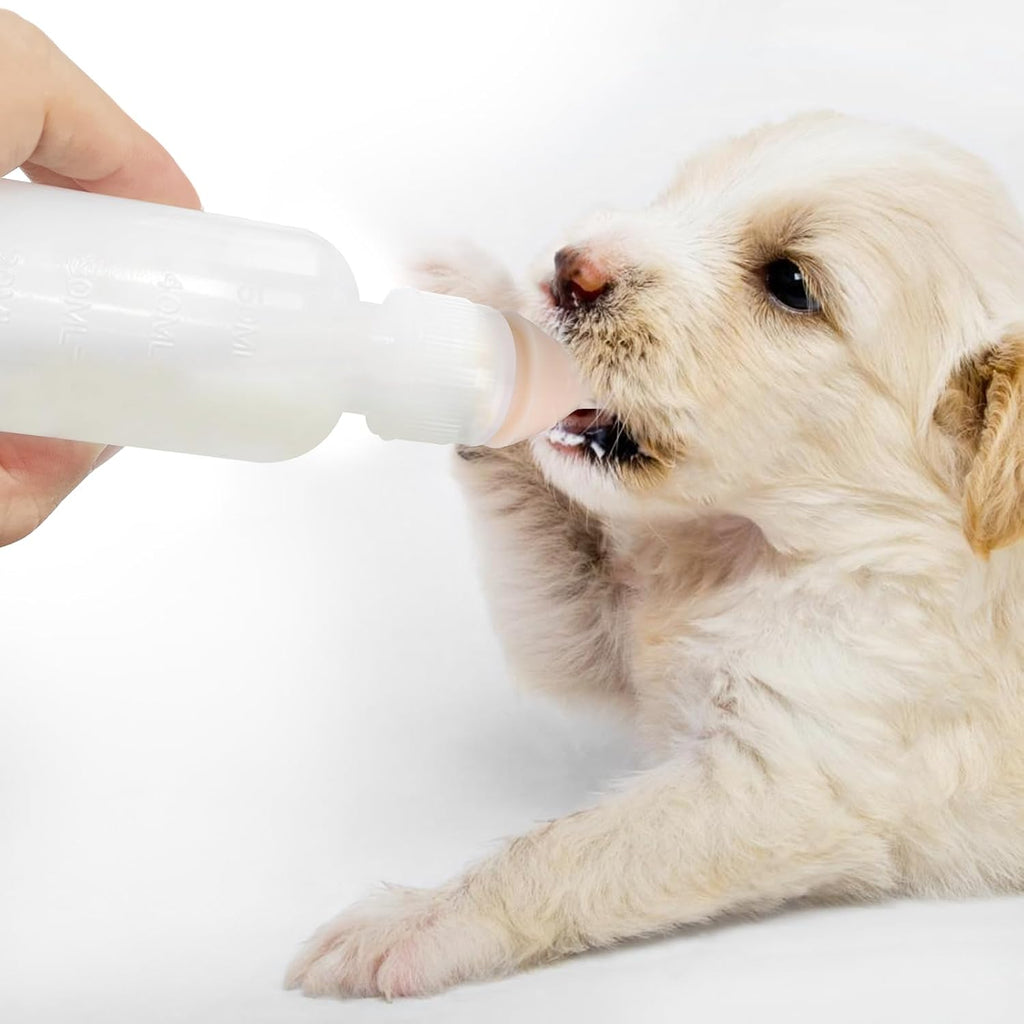 Five pack of FEDIPUP small animal feeding bottles laid out with replacement nipples.