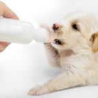 Five pack of FEDIPUP small animal feeding bottles laid out with replacement nipples.
