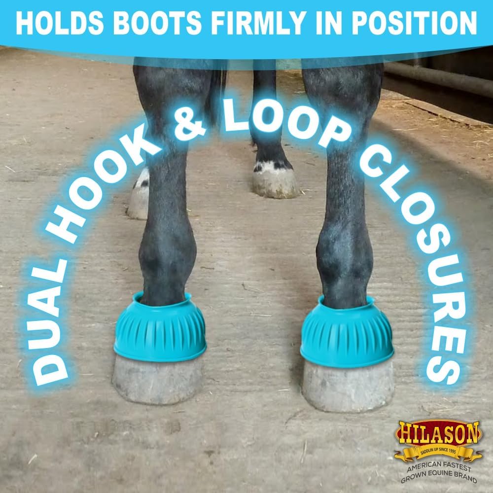 Hilason protective horse training boots extra large brown color variant