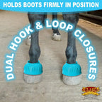 Hilason protective horse training boots extra large brown color variant