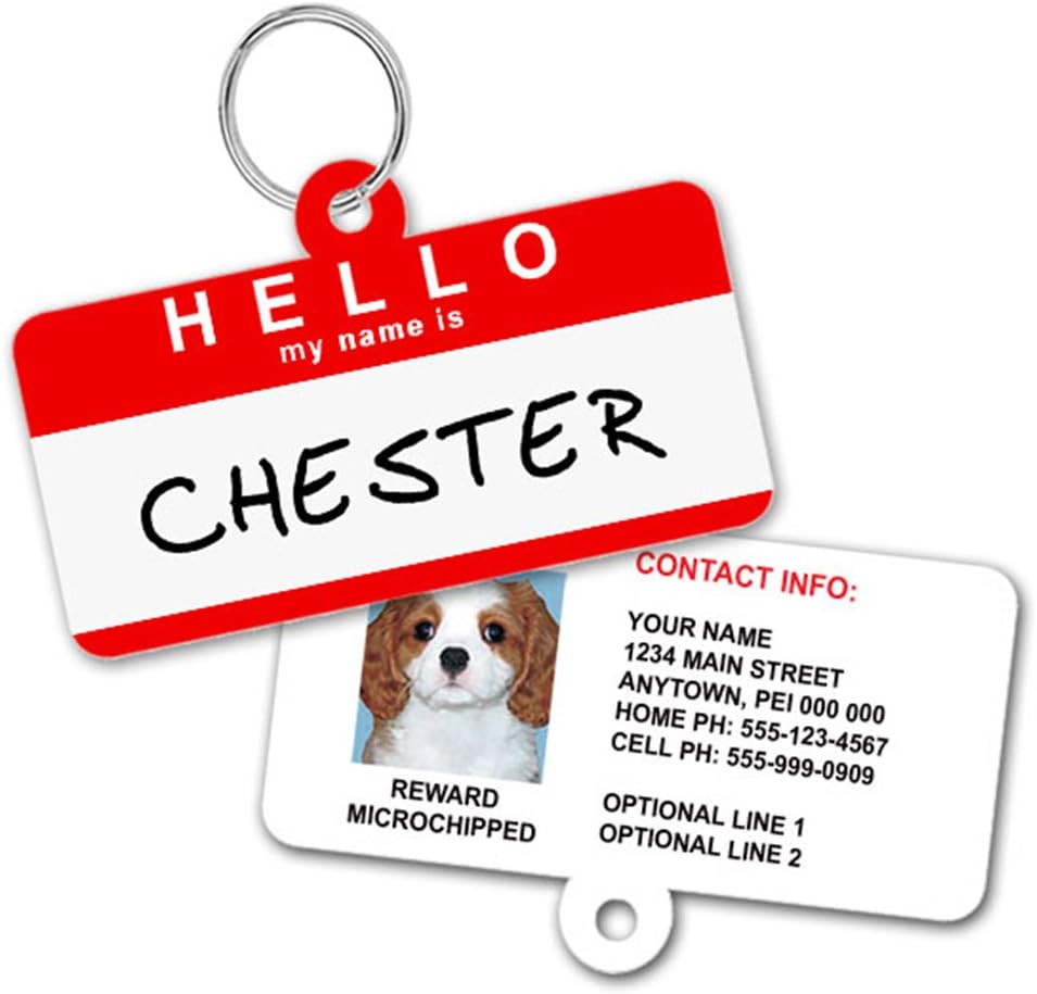 1 Cute Pooch rectangular aluminum pet tag in orange color option