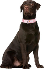 YOUALSO adjustable pet collar highlighting the durable colorfast nylon fabric