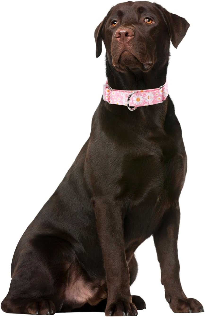 YOUALSO adjustable pet collar highlighting the durable colorfast nylon fabric