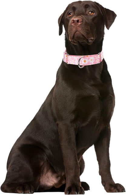YOUALSO adjustable pet collar highlighting the durable colorfast nylon fabric
