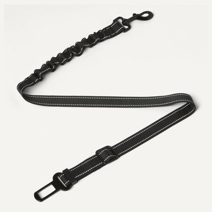 Reflective stitching detail on Amazon Basics dog safety belt